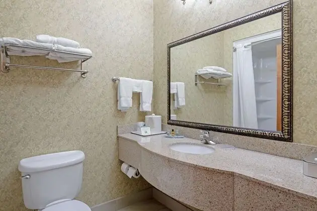 Süit, 1 En Büyük (King) Boy Yatak ve Çekyat, Sigara İçilmez, Mikrodalga (with Sofabed)