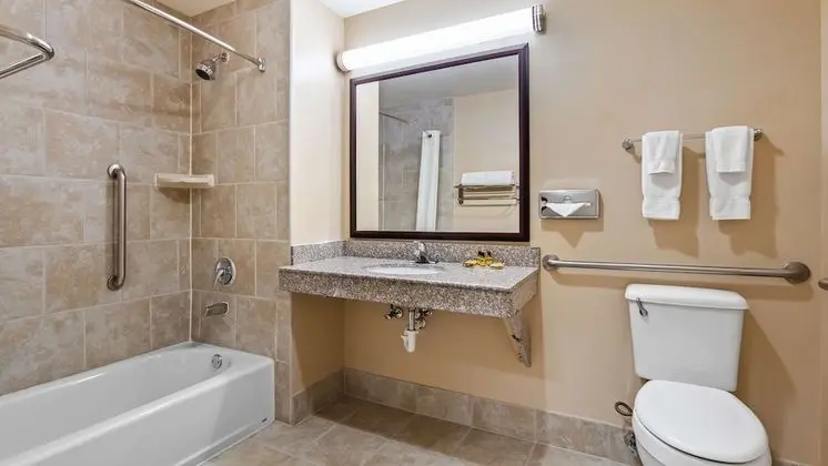 Standard Oda, 1 En Büyük (King) Boy Yatak, Engellilere Uygun, Sıcak Su Küveti (Jetted tub )