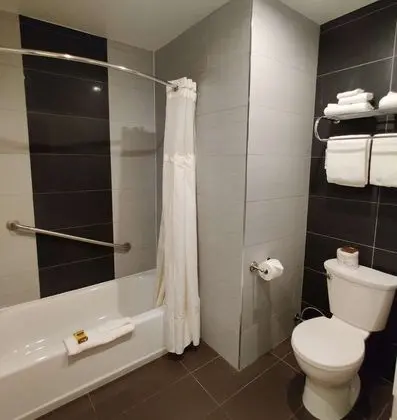 Standard Oda, 1 En Büyük (King) Boy Yatak, Sigara İçilmez, Mutfak (with Sofabed)