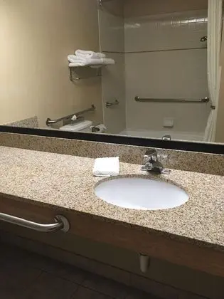 Süit, 1 En Büyük (King) Boy Yatak, Engellilere Uygun, Küvet (with Sofabed)