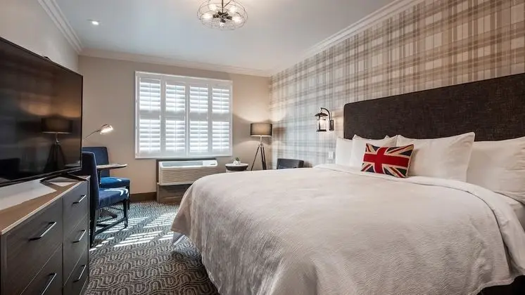 Standard Oda, 1 En Büyük (King) Boy Yatak, Sigara İçilmez, Buzdolabı