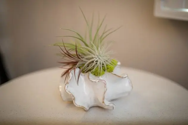 Standard Oda, 1 En Büyük (King) Boy Yatak, Sigara İçilmez, Buzdolabı