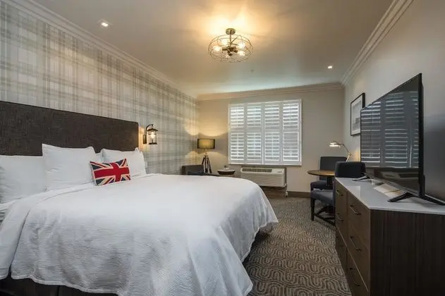 Standard Oda, 1 En Büyük (King) Boy Yatak, Sigara İçilmez, Buzdolabı