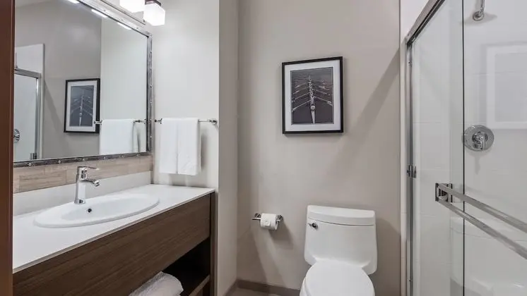 Standard Oda, 1 En Büyük (King) Boy Yatak, Sigara İçilmez, Buzdolabı