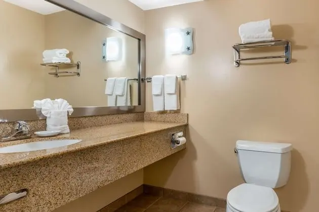 Engellilere Uygun Banyo