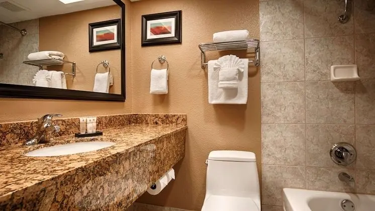 Standard Oda, 1 En Büyük (King) Boy Yatak, Sigara İçilmez, Buzdolabı (No Resort Fees)
