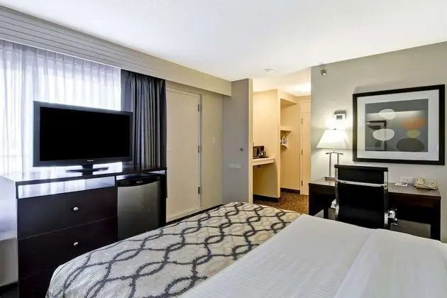 Süit, 1 En Büyük (King) Boy Yatak, Sigara İçilmez, Buzdolabı (with Sofabed)