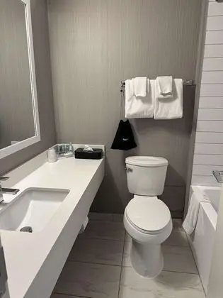 Süit, 1 En Büyük (King) Boy Yatak, Sigara İçilmez, Buzdolabı (with Sofabed)