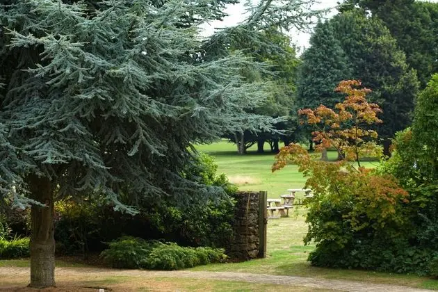 Standard Oda, 2 Tek Kişilik Yatak, Sigara İçilmez, Golf Manzaralı