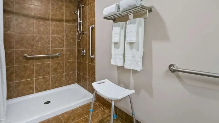 Standard Oda, 2 Büyük (Queen) Boy Yatak, Engellilere Uygun, Sigara İçilmez (Walk-in Shower)