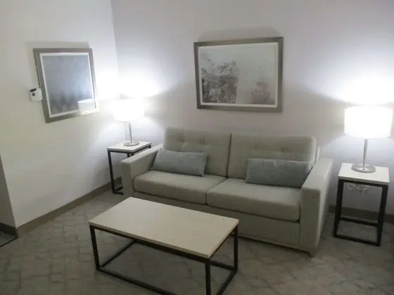 Süit, 1 En Büyük (King) Boy Yatak ve Çekyat, Sigara İçilmez, Buzdolabı ve Mikrodalga (with Sofabed)