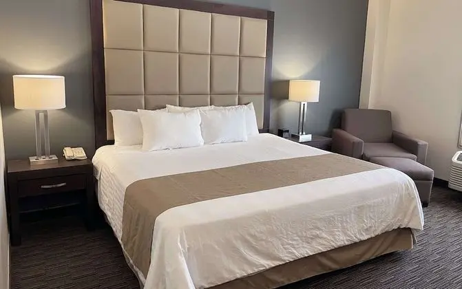 Standard Oda, 1 En Büyük (King) Boy Yatak, Sigara İçilmez, Buzdolabı