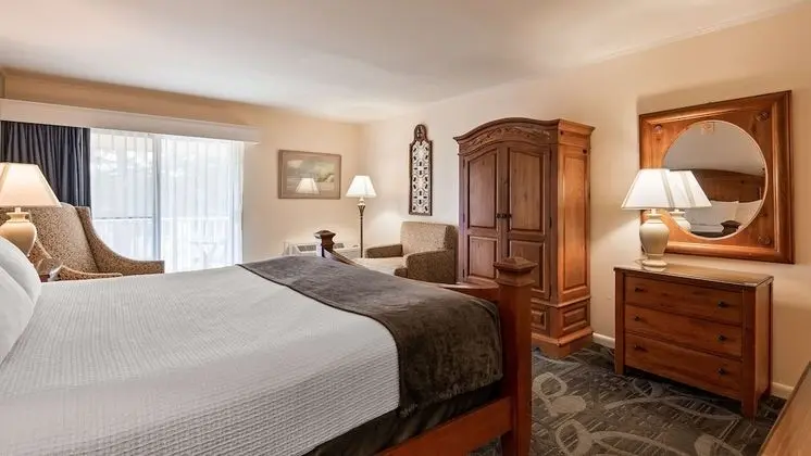 Standard Oda, 1 En Büyük (King) Boy Yatak, Sigara İçilmez, Balkon (with Sofabed)