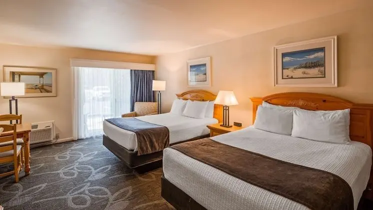 Standard Oda, 2 Büyük (Queen) Boy Yatak, Buzdolabı ve Mikrodalga, Havuz Kenarı