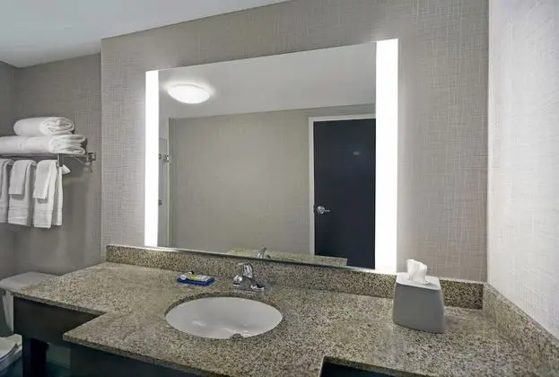 Süit, 1 En Büyük (King) Boy Yatak, Engellilere Uygun (Accessible Tub)
