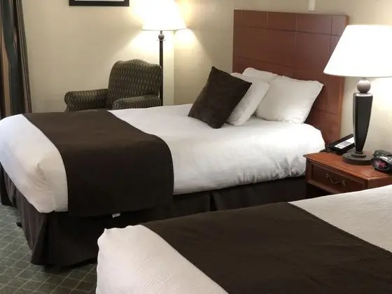 Standard Oda, 2 Çift Kişilik Yatak, Engellilere Uygun, Sigara İçilmez