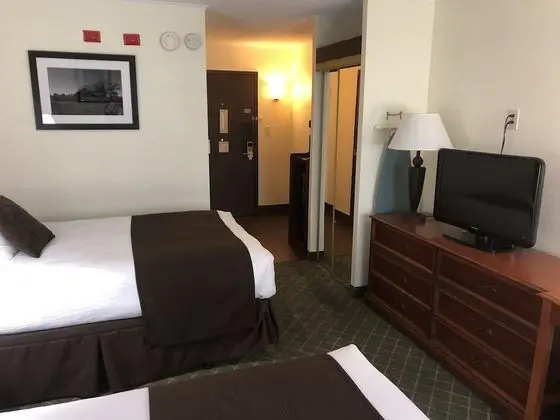 Standard Oda, 2 Çift Kişilik Yatak, Engellilere Uygun, Sigara İçilmez