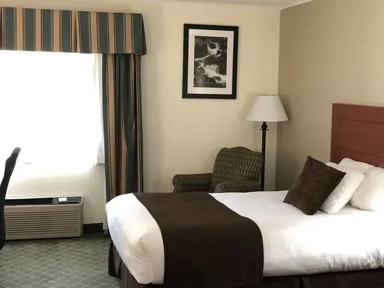 Standard Oda, 2 Çift Kişilik Yatak, Engellilere Uygun, Sigara İçilmez