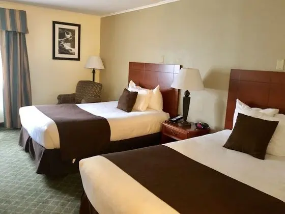 Standard Oda, 2 Çift Kişilik Yatak, Engellilere Uygun, Sigara İçilmez (Walk-in Shower)