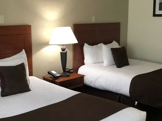 Standard Oda, 2 Çift Kişilik Yatak, Engellilere Uygun, Sigara İçilmez (Walk-in Shower)