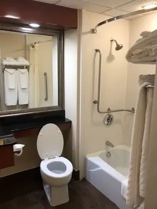 Standard Oda, 2 Çift Kişilik Yatak, Engellilere Uygun, Sigara İçilmez (Walk-in Shower)