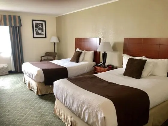 Standard Oda, 2 Çift Kişilik Yatak, Sigara İçilmez, Buzdolabı ve Mikrodalga