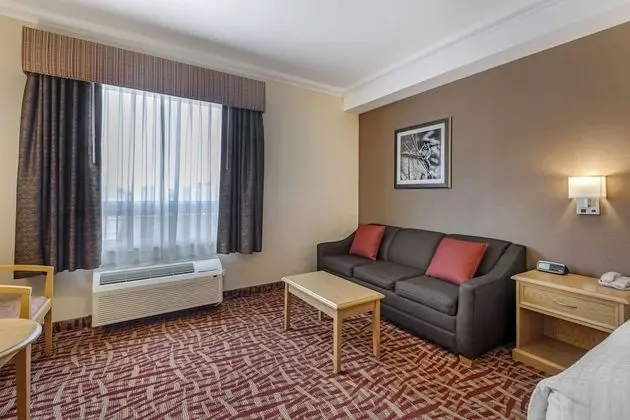 Standard Oda, 1 En Büyük (King) Boy Yatak, Sigara İçilmez, Buzdolabı (with Sofabed)