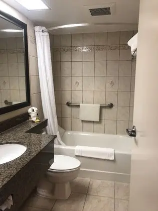 Standard Oda, 1 En Büyük (King) Boy Yatak, Sigara İçilmez, Buzdolabı (with Sofabed)