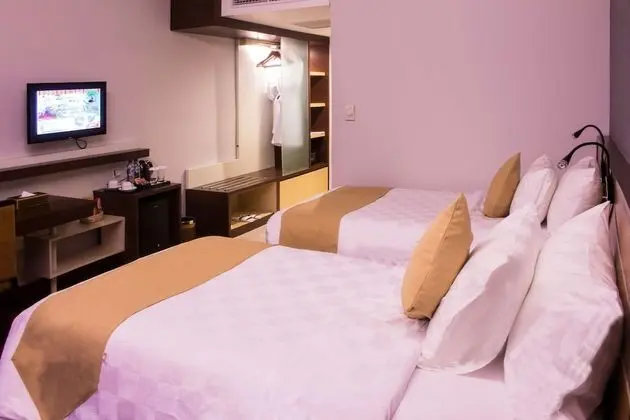 Superior Oda, 2 Tek Kişilik Yatak, Sigara İçilebilir, Şehir Manzaralı