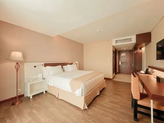 Superior Oda, 2 Tek Kişilik Yatak, Sigara İçilebilir, Şehir Manzaralı