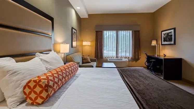 Standard Oda, 1 En Büyük (King) Boy Yatak ve Çekyat, Engellilere Uygun (with Sofabed)