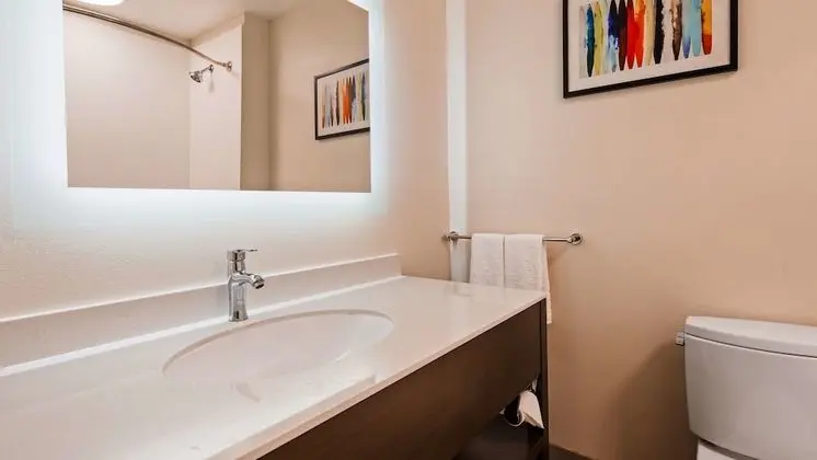 Standard Oda, 1 En Büyük (King) Boy Yatak, Sigara İçilmez, Buzdolabı ve Mikrodalga