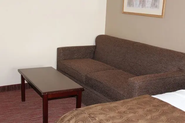 Standard Oda, 1 En Büyük (King) Boy Yatak ve Çekyat, Buzdolabı ve Mikrodalga (with Sofabed)