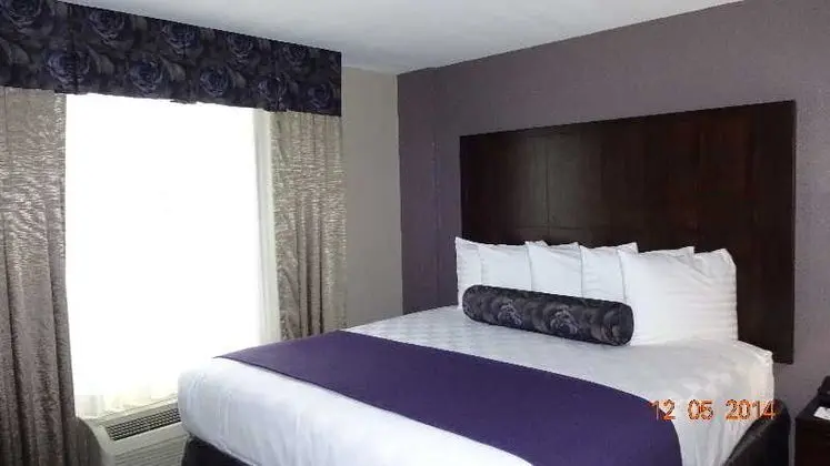1 Çift ​​kişilik Yatak King Size Bed