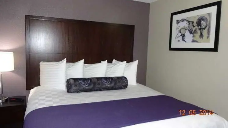 1 Çift ​​kişilik Yatak King Size Bed