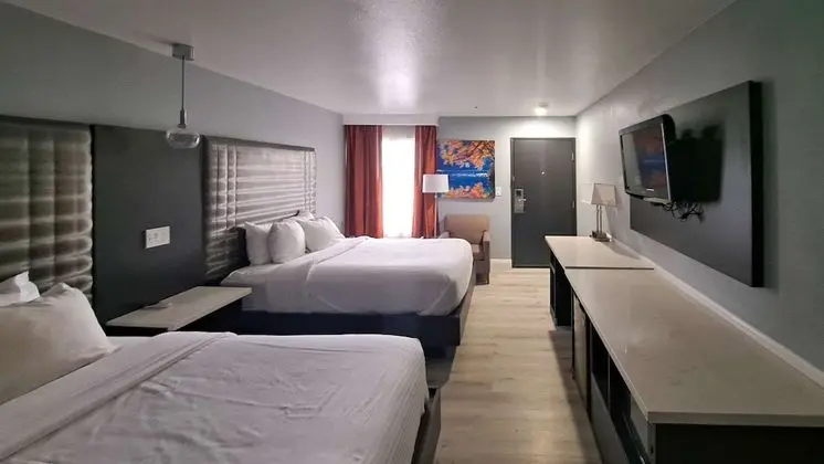 Standard Oda, 2 Büyük (Queen) Boy Yatak, Sigara İçilmez (Pet-Friendly)