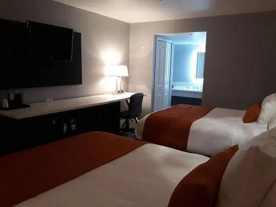 Standard Oda, 2 Büyük (Queen) Boy Yatak, Sigara İçilmez (Pet-Friendly)