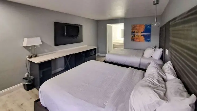Standard Oda, 2 Büyük (Queen) Boy Yatak, Sigara İçilmez (Pet-Friendly)