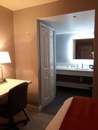 Standard Oda, 2 Büyük (Queen) Boy Yatak, Sigara İçilmez (Pet-Friendly)