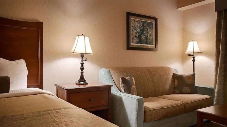 Standard Oda, 1 En Büyük (King) Boy Yatak, Sigara İçilmez, Buzdolabı ve Mikrodalga (with Sofabed)