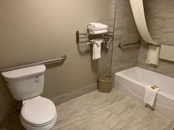 Standard Oda, 1 Büyük (Queen) Boy Yatak, Engellilere Uygun, Küvet (Bathtub)