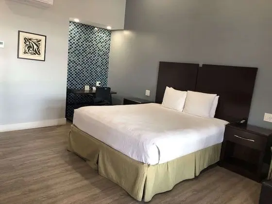 Standard Oda, 1 En Büyük (King) Boy Yatak, Sigara İçilmez, Balkon
