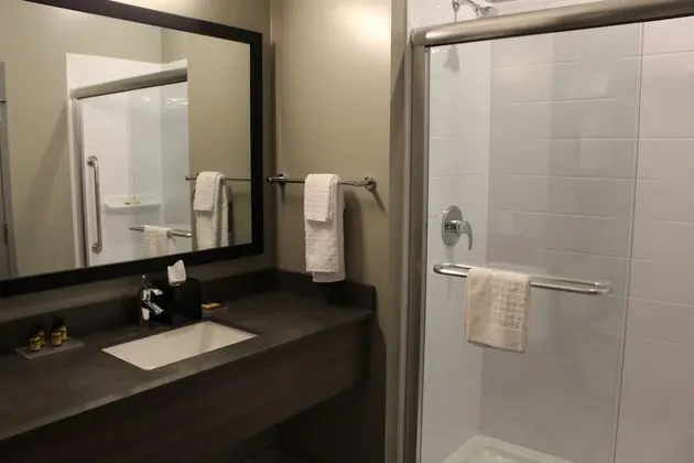 Süit, 1 En Büyük (King) Boy Yatak, Sigara İçilmez, Sıcak Su Küveti (Shower Only;with Sofabed)