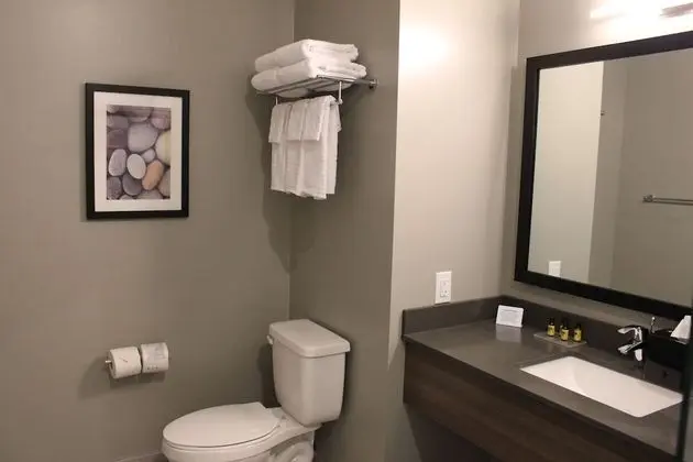 Süit, 1 En Büyük (King) Boy Yatak, Sigara İçilmez, Sıcak Su Küveti (Shower Only;with Sofabed)