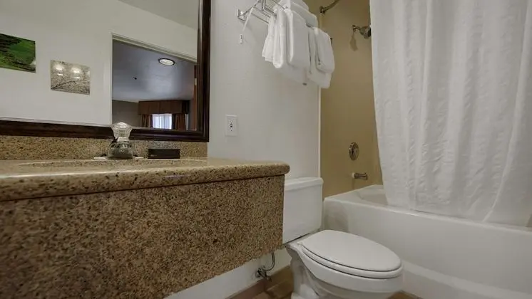 Standard Oda, 1 En Büyük (King) Boy Yatak, Engellilere Uygun, Küvet