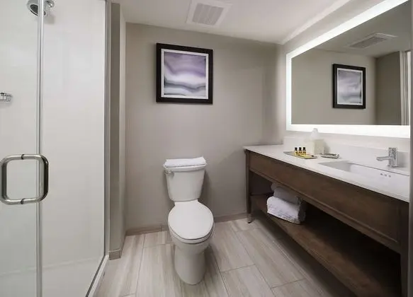Süit, 1 En Büyük (King) Boy Yatak ve Çekyat, Sigara İçilmez, Buzdolabı ve Mikrodalga (with Sofabed)