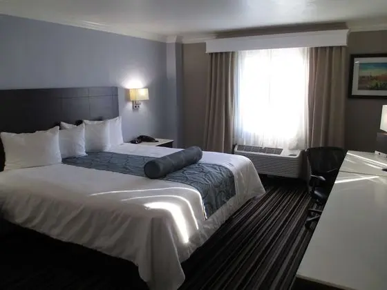 Standard Oda, 1 En Büyük (King) Boy Yatak, Sigara İçilmez (1st Floor;Pet Friendly)