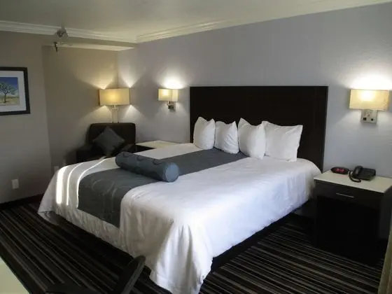 Standard Oda, 1 En Büyük (King) Boy Yatak, Sigara İçilmez (1st Floor;Pet Friendly)