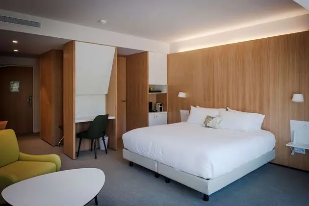 Superior Oda, 1 En Büyük (King) Boy Yatak, Sigara İçilmez (Twin bed on request)
