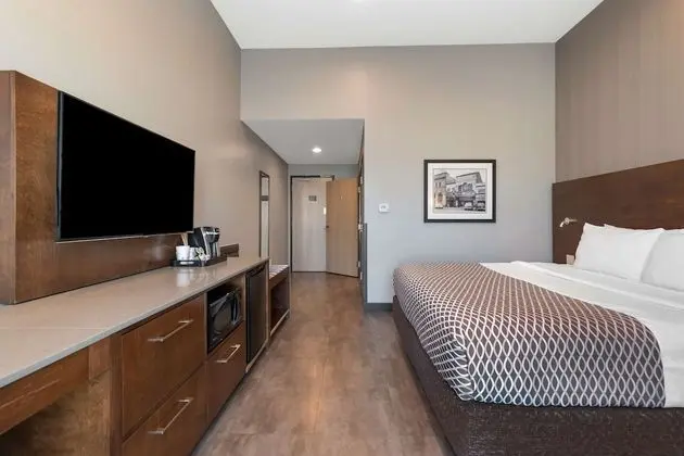 Standard Oda, 1 En Büyük (King) Boy Yatak, Engellilere Uygun, Sigara İçilmez (Walk-in Shower)